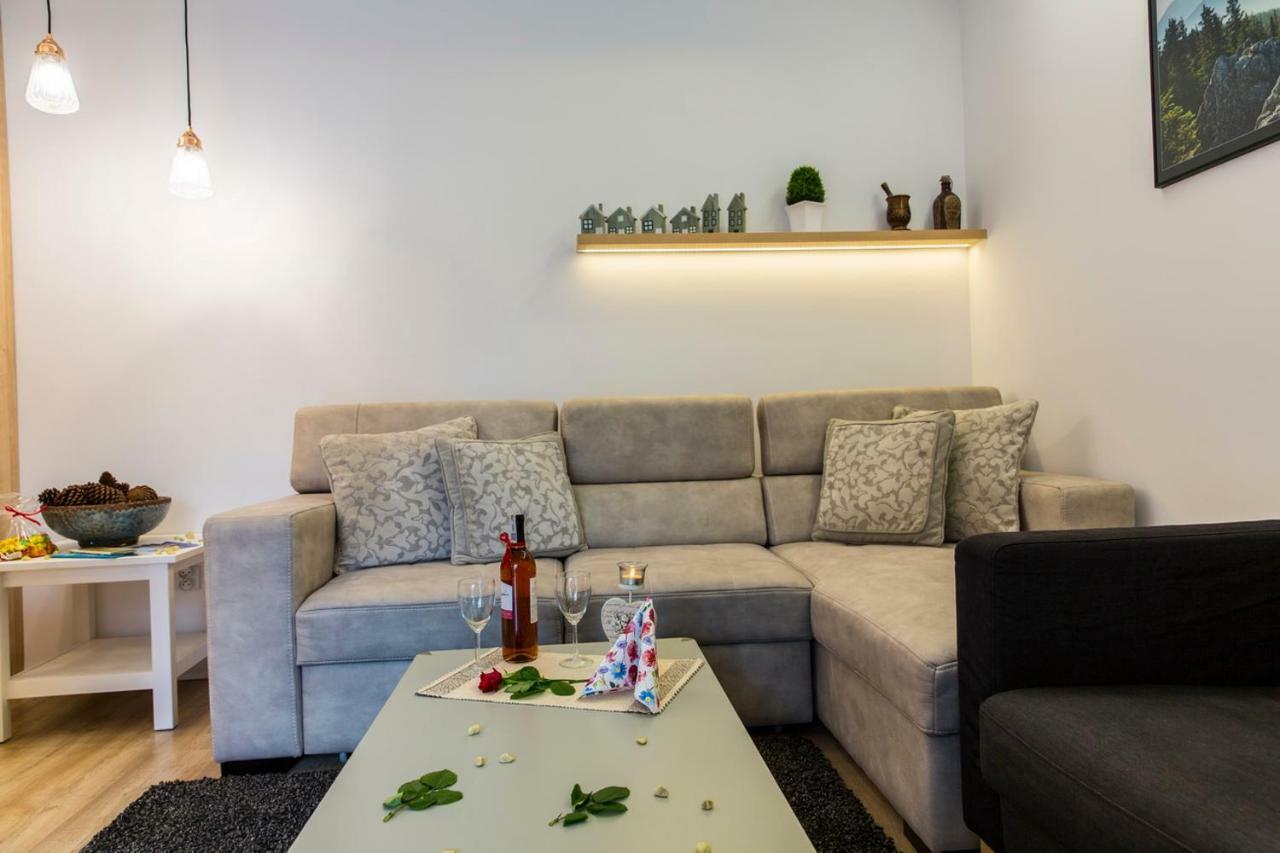 Apartament Pajo I -Rezydencja Tatry--Grota Solna--Taras--Garaz Podziemny ザコパネ エクステリア 写真