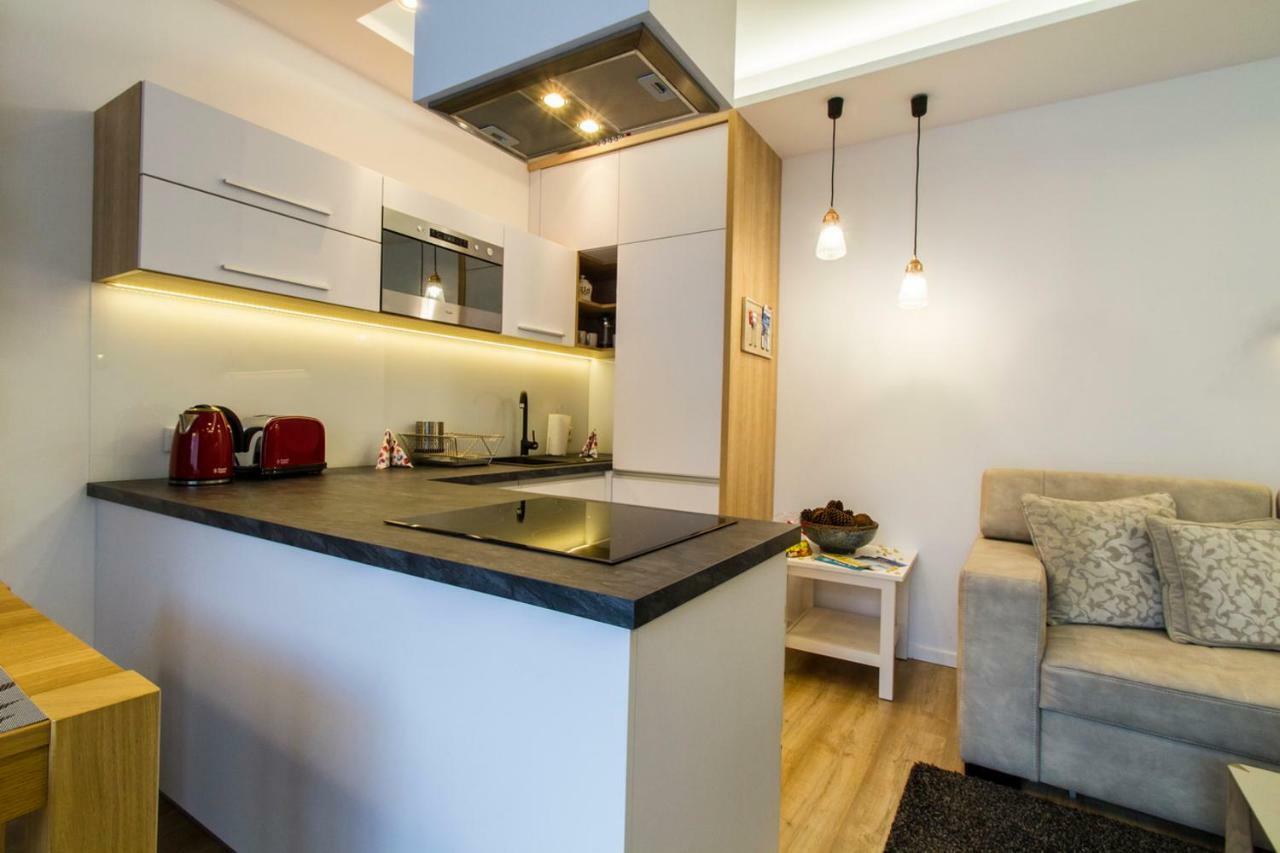 Apartament Pajo I -Rezydencja Tatry--Grota Solna--Taras--Garaz Podziemny ザコパネ エクステリア 写真